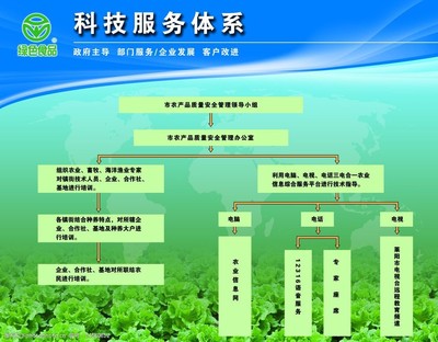 構(gòu)建高效科技服務(wù)體系 以技術(shù)服務(wù)為核心驅(qū)動(dòng)